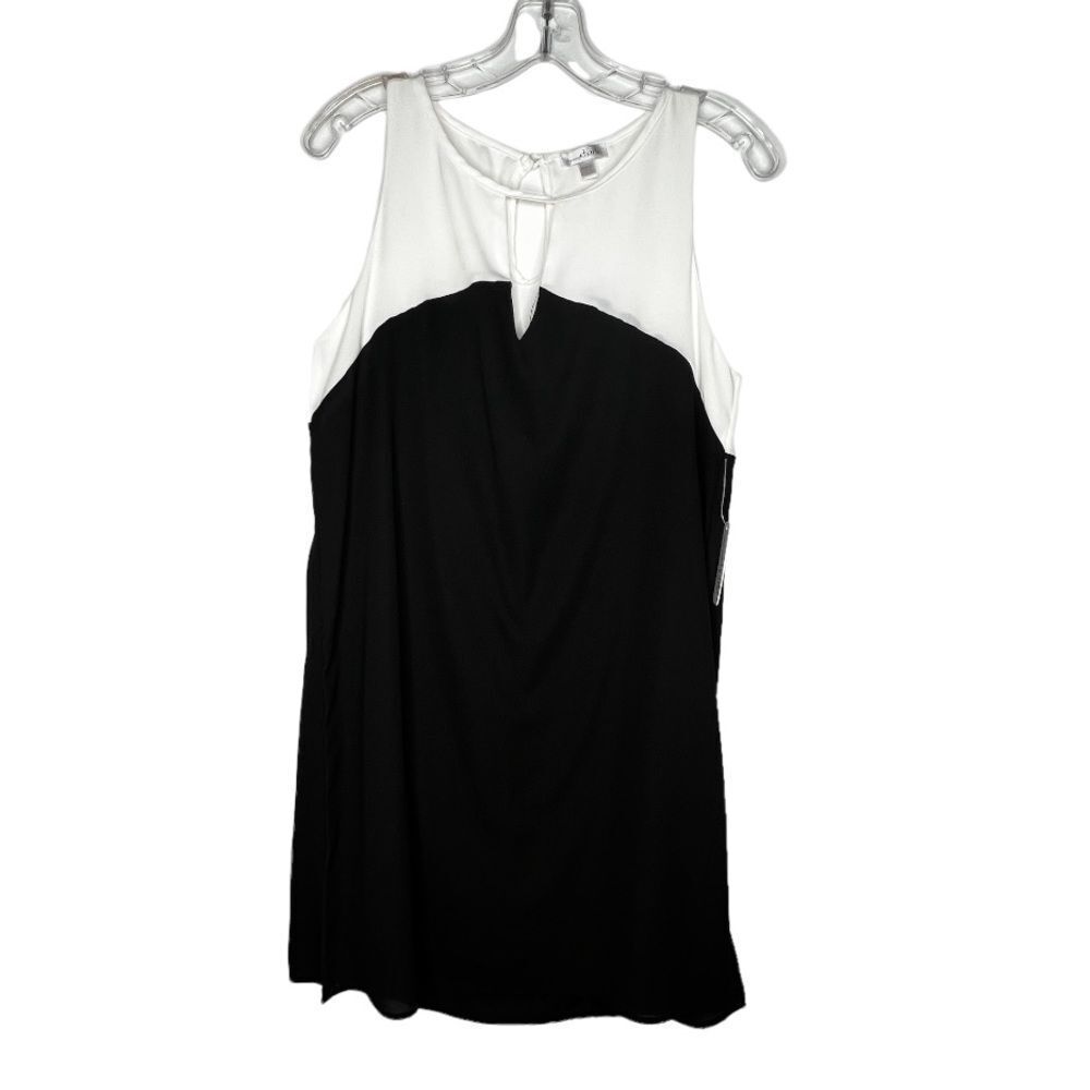 Charming Charlie Dress‎ nwt